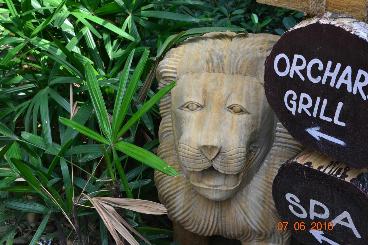 Corbett Wild Iris Spa And Resort Ramnagar  Bagian luar foto
